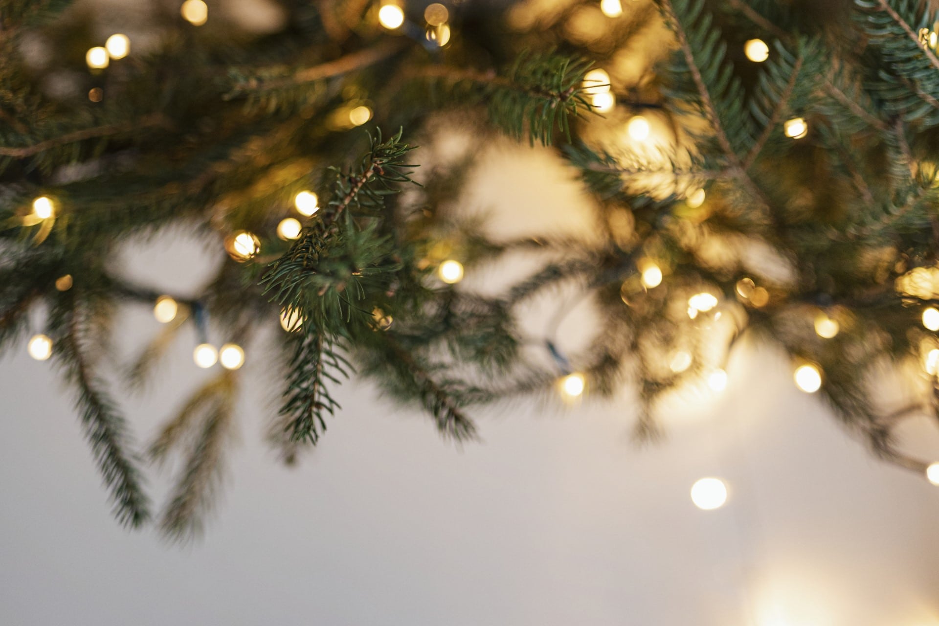Juletræ med lys